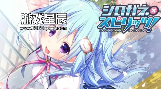 switch《白金X长烈/シロガネ×スピリッツ》日文版nsz下载