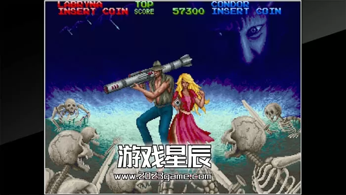 switch《街机档案 黑暗冒险 Arcade Archives DARK ADVENTURE》英文版nsp下载