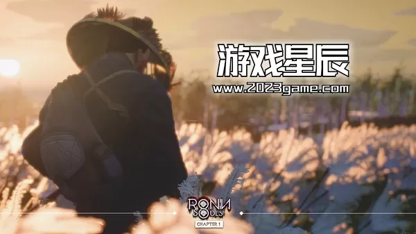 PC《浪人：两魂一体/RONIN: Two Souls CHAPTER 1》中文版下载v8801704_5