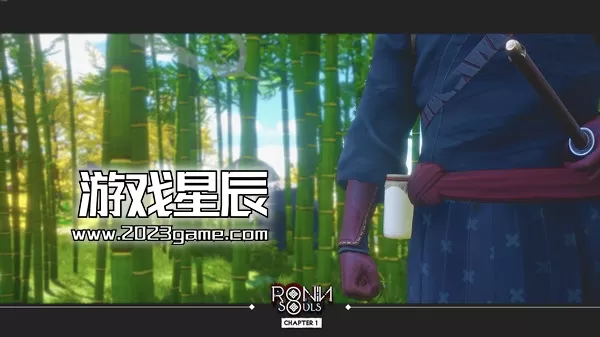 PC《浪人：两魂一体/RONIN: Two Souls CHAPTER 1》中文版下载v8801704_4