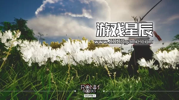 PC《浪人：两魂一体/RONIN: Two Souls CHAPTER 1》中文版下载v8801704_1