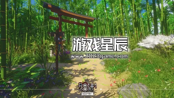 PC《浪人：两魂一体/RONIN: Two Souls CHAPTER 1》中文版下载v8801704_0