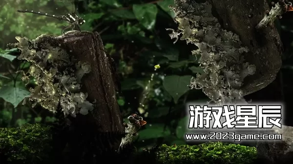 PC《幼苗/Seedlings》中文版下载_1
