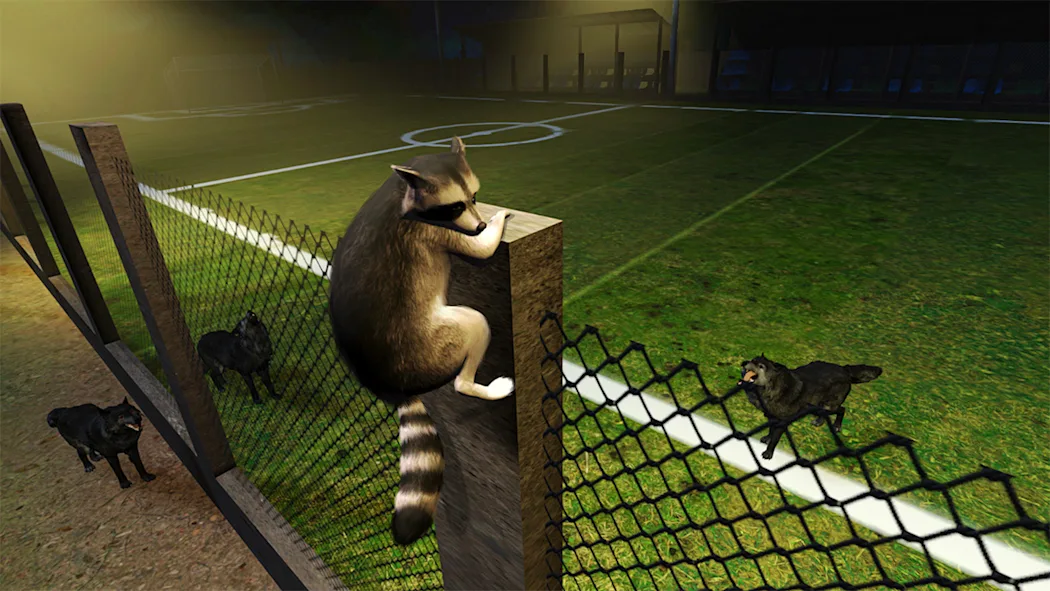 switch《浣熊冒险 Raccoon Adventure: Animal City Simulator 3D Farm Super Deluxe》英文版nsp下载_4