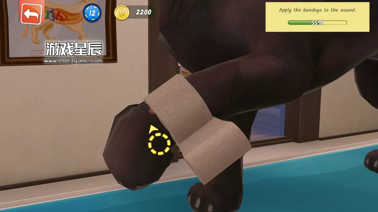 【5.05】PS4《动物医院 Animal Hospital》中文版PKG下载+v1.01补丁_3