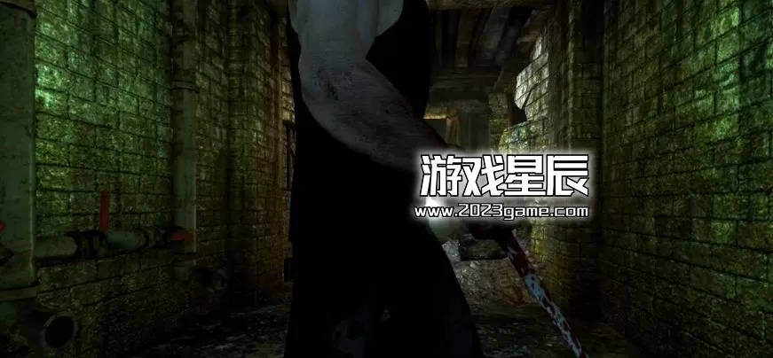 ps3《电锯惊魂2 血与肉》英文ISO下载