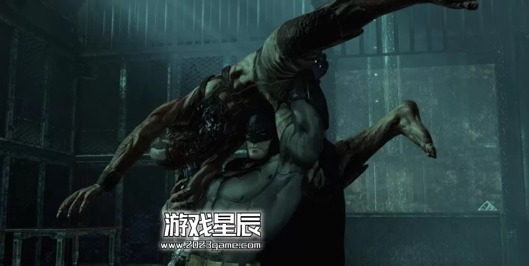 ps3《蝙蝠侠 阿甘疯人院 Batman:Arkham Asylum》英文ISO下载_0