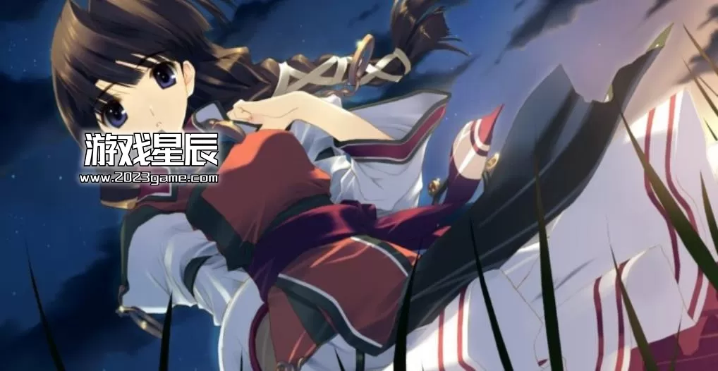 ps3《皇冠之泪 花冠大地》日文ISO下载
