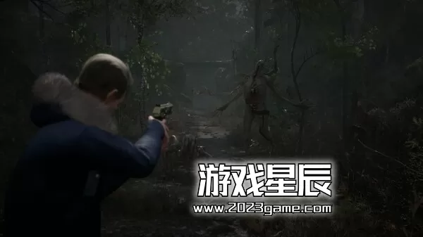 【5.05】PS4《流浪之魂 Stray Souls》中文版PKG下载【V1.02整合版+降级补丁+金手指】_0
