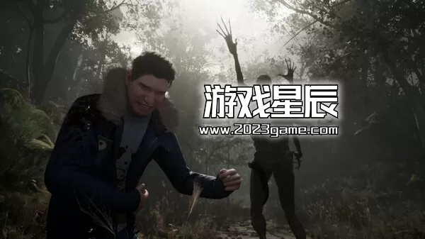 【5.05】PS4《流浪之魂 Stray Souls》中文版PKG下载【V1.02整合版+降级补丁+金手指】_4