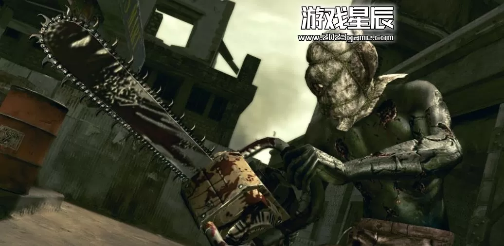 ps3《生化危机5 Resident Evil 5》日文ISO下载