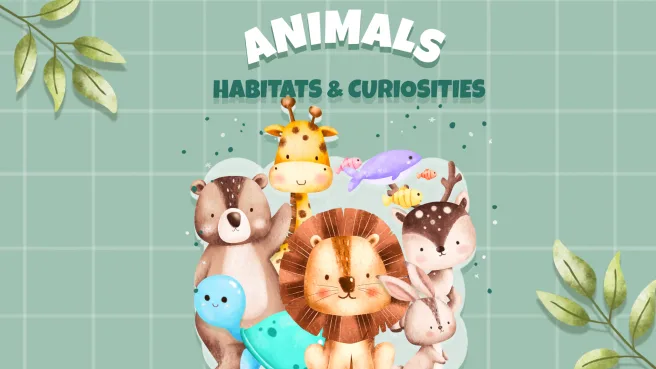 【儿童故事】switch《动物 - 栖息地和好奇心 Animals - Habitats and Curiosities》英文版nsp下载