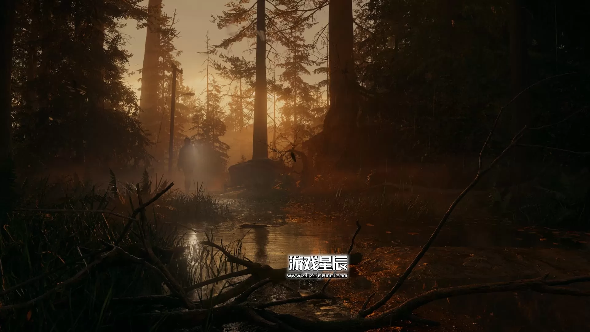 PC《心灵杀手2 Alan Wake 2》中文豪华版下载v1.0.16_5