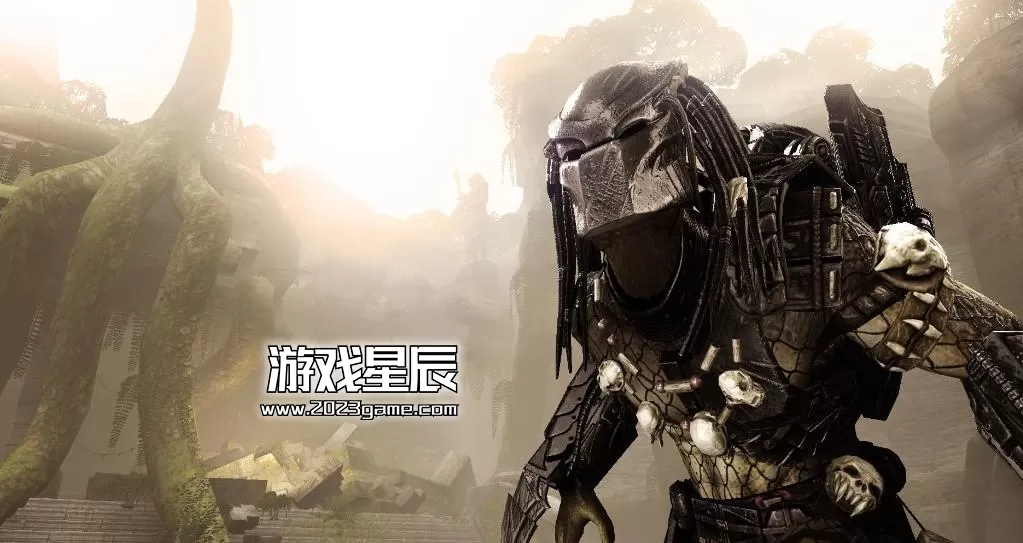 ps3《异形大战铁血战士》英文ISO下载