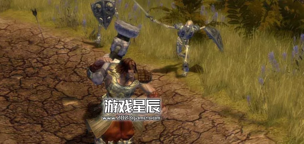 ps3《未名传奇 黑暗王国 Untold Legends - Dark Kingdom》英文ISO下载_2
