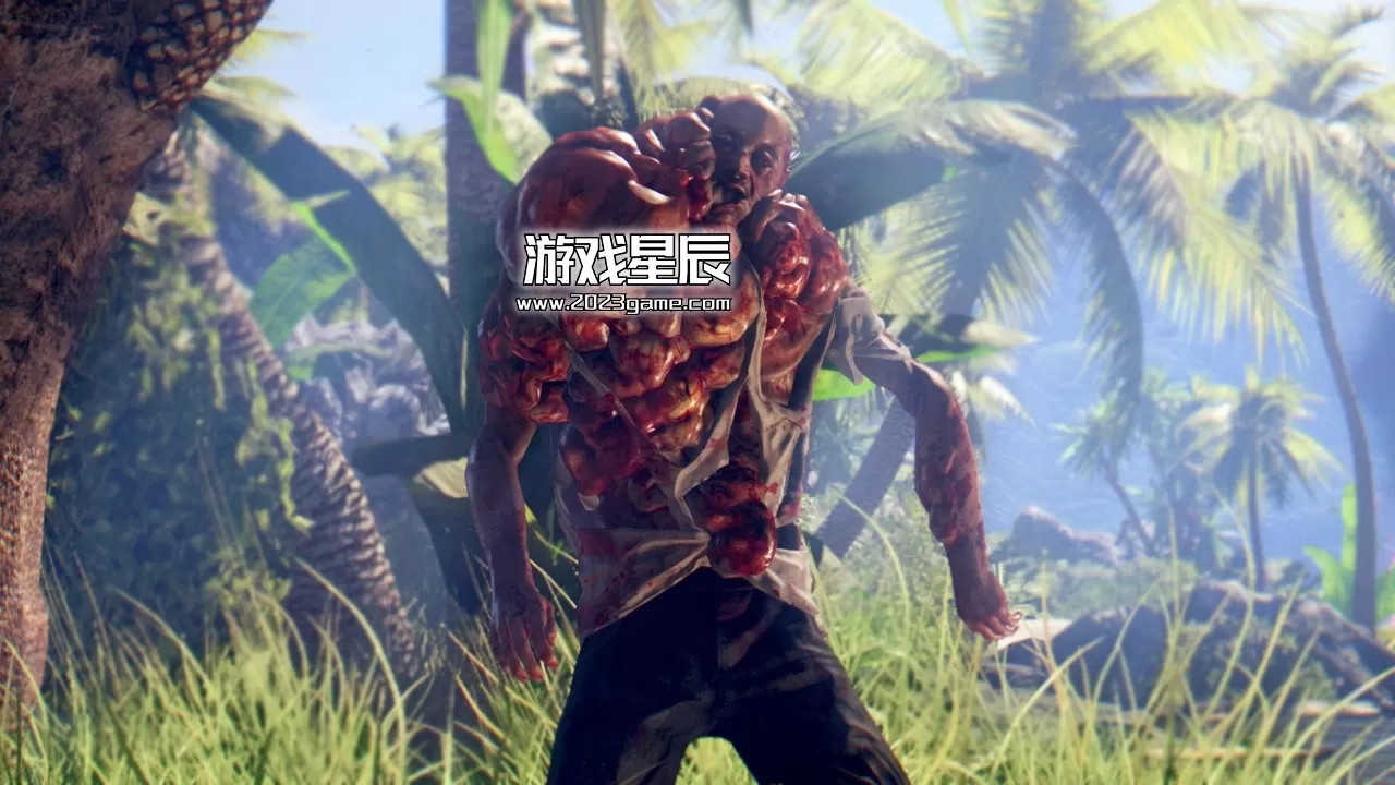 ps3《死亡岛 Dead Island》英文ISO下载_1