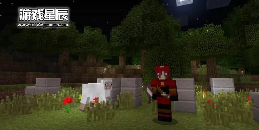 ps3《我的世界 Minecraft》中文ISO下载_2