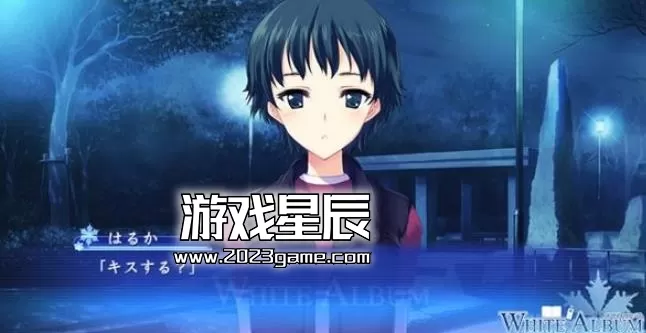 ps3《白色相簿 被点缀的冬之回忆》日版汉化V2中文ISO下载
