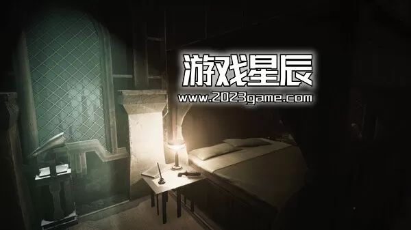 PC《寂静的天鹅 The Silent Swan》中文版下载_1