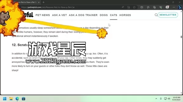 PC《桌面宠物/Desktop Pet Project》中文版下载Build.12629150_3