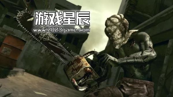 【5.05】PS4《生化危机5 Resident Evil 5》港版中文PKG下载+金手指_1