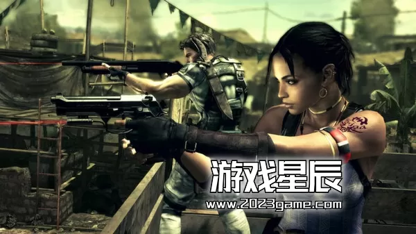 【5.05】PS4《生化危机5 Resident Evil 5》港版中文PKG下载+金手指_5