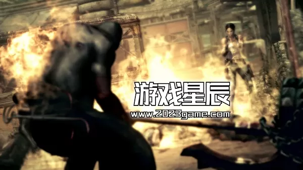 【5.05】PS4《生化危机5 Resident Evil 5》港版中文PKG下载+金手指_2