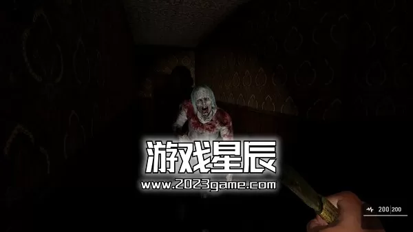 PC《ASZG项目/ASZG Project》中文版下载_0