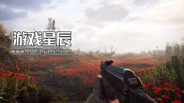 switch《潜行者：封锁区传奇三部曲 S.T.A.L.K.E.R. Legends》中文版nsz下载+1.0.1补丁_4