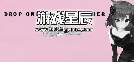 PC《把一个NPC丢给另一个/Drop one NPC to another》中文版下载