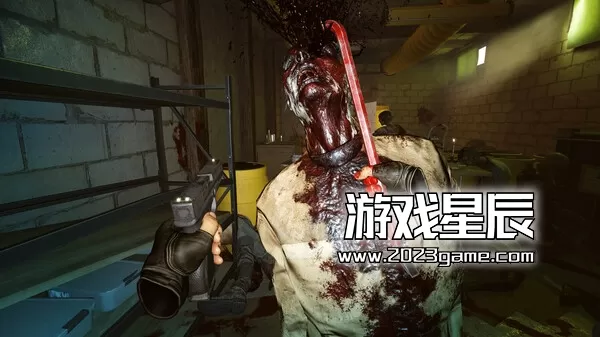 PC《亚利桑那阳光2/Arizona Sunshine 2》中文版下载_1