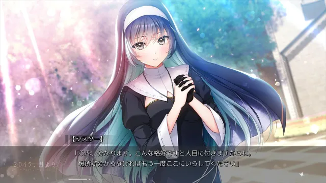 【Galgame】switch《2045、来自月球 ２０４５、月より》日文版nsp下载_2