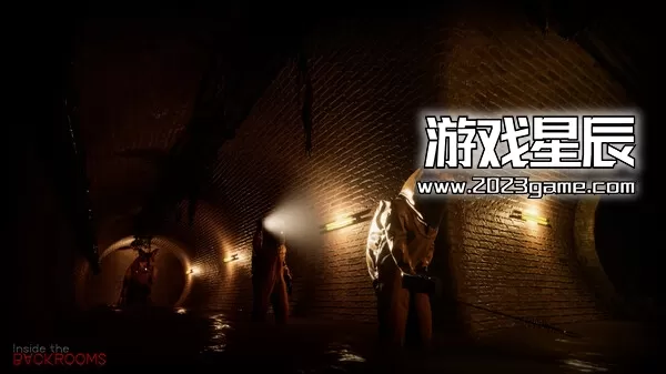 PC《深入后室/密室内部/Inside the Backrooms》中文版下载v0.4.3_3