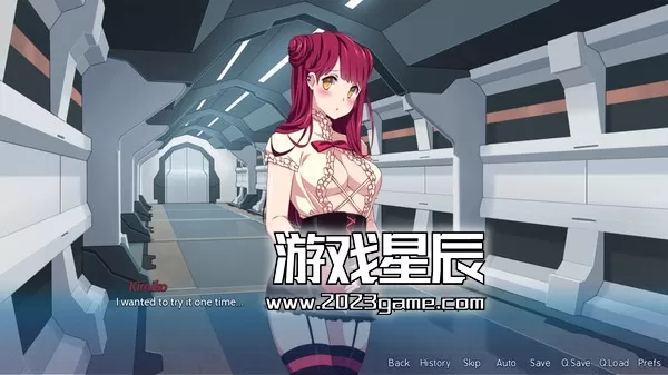 switch《樱花特工 sakura agent》英文版nsz下载_2