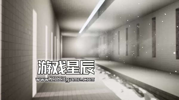 PC《逃离密室/Escape the Backrooms》中文版下载_2