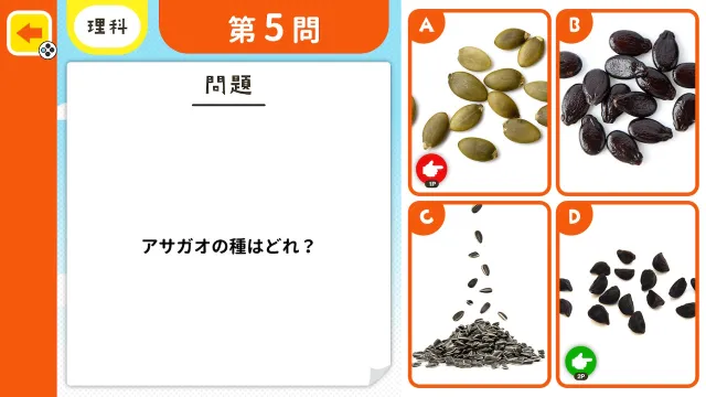switch《小学课本测试 わかる！学べる！小学校教科書テスト》日文版nsp下载_3