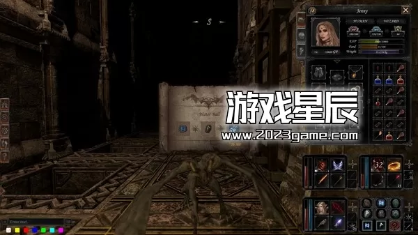 PC《龙骑士之墓 Dungeon Of Dragon Knight》中文版下载_3