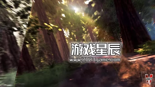 PC《越野英雄4V-Rally 4》中文版下载v1.08_2