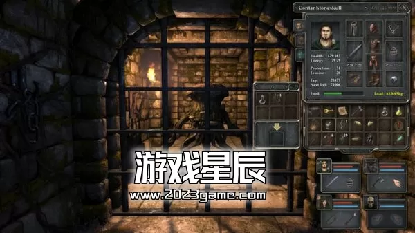 switch《魔岩山传说 legend of grimrock》英文版nsp下载_0