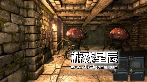 switch《魔岩山传说 legend of grimrock》英文版nsp下载_3