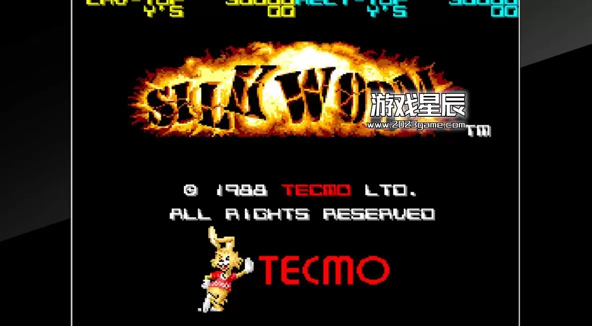 switch《街机档案：中东战争 Arcade Archives SILK WORM》英文版nsp下载