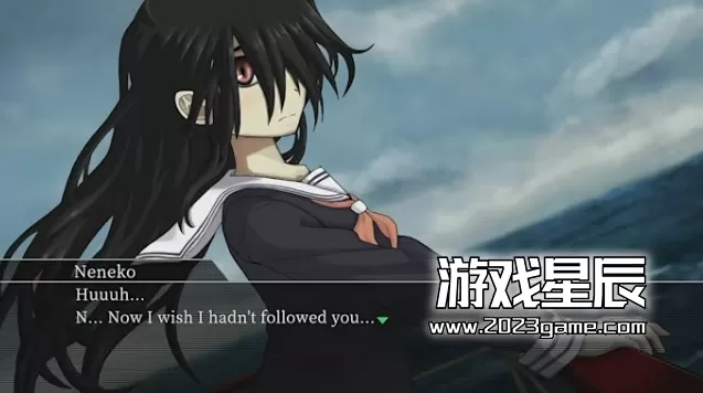 switch《重返蓝鲸岛 Return to Shironagasu Island》中文版nsp下载+1.0.6补丁_3