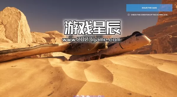 PC《飞机失事模拟器 Plane Accident》中文版下载_0