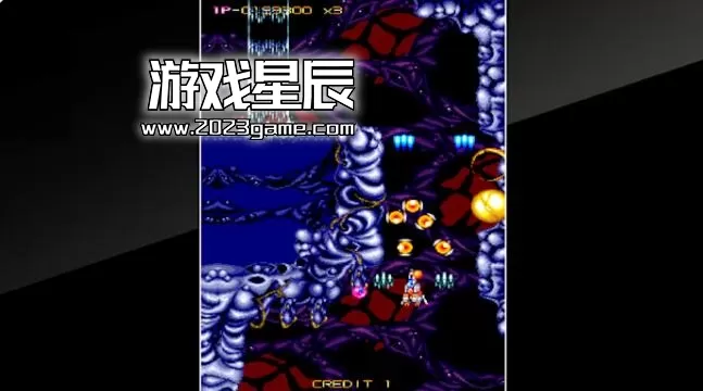 switch《街机档案 航空战争 Arcade Archives WAR OF AERO》英文版nsp下载+1.0.2补丁_4
