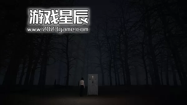 PC《沉默 With in the Obscurity》中文版下载_2