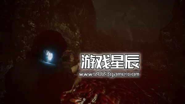 PC《夺魂/Taken Soul》中文版下载_1