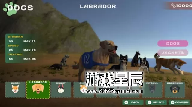 switch《赛狗宠物赛跑模拟器 DOG RACING - LOVELY PET FRIENDS PAW》英文版nsp下载_2