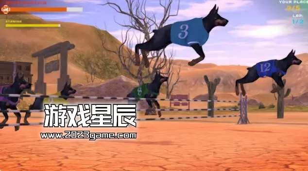 switch《赛狗宠物赛跑模拟器 DOG RACING - LOVELY PET FRIENDS PAW》英文版nsp下载_4