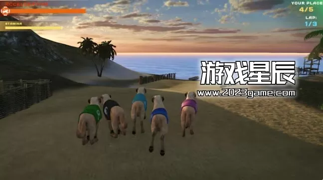 switch《赛狗宠物赛跑模拟器 DOG RACING - LOVELY PET FRIENDS PAW》英文版nsp下载_5
