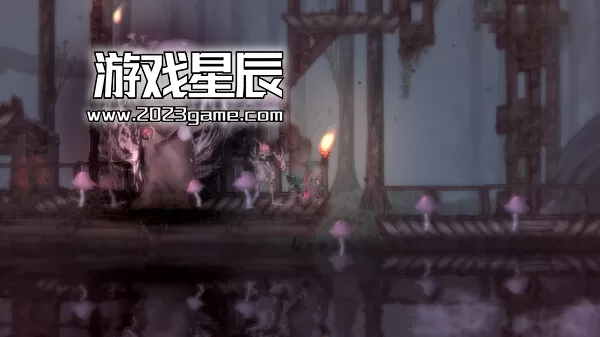 【5.05】PS4《盐与献祭 Salt & Sacrifice》中文版PKG下载+2.03补丁_1